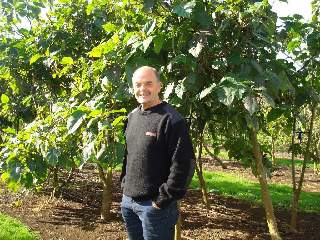 Robin in orchard